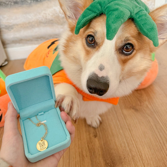 Personalized Pet Face Necklace