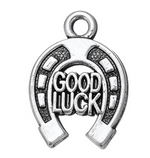 Load image into Gallery viewer, Good Luck Horseshoe Necklace Jewelry
